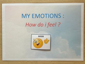 Fiche Montessori : Les émotions en anglais 