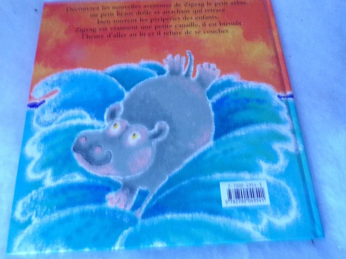 Livre Les aventures de zigzag Canaille ! - photo numéro 3