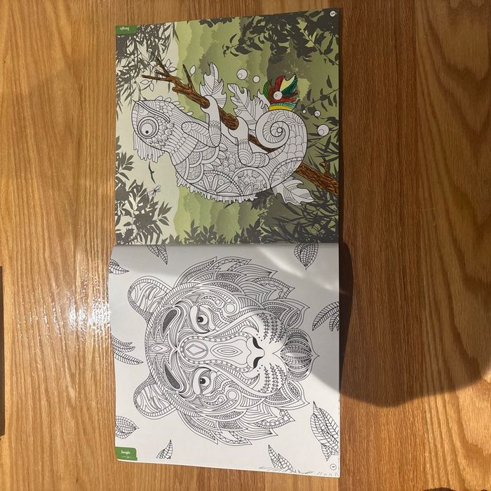 Mon super livre de coloriage - photo numéro 3