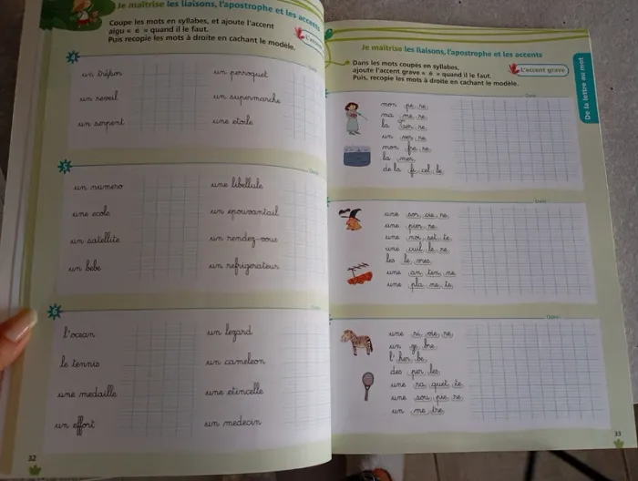 Cahier d'apprentissage français CE1 Cléo - photo numéro 3