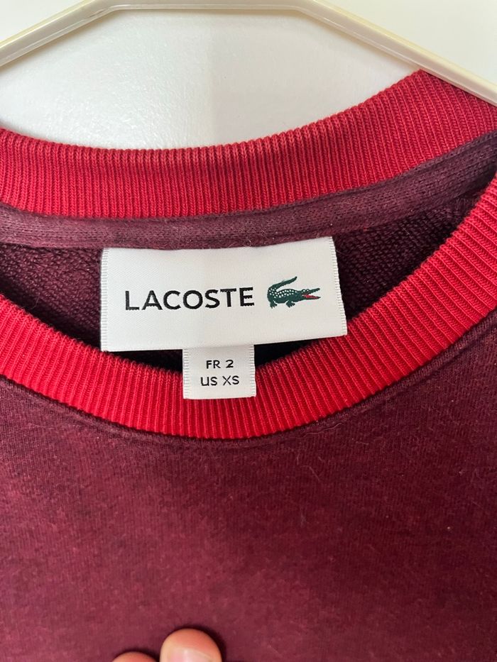 Sweat Lacoste bordeaux - photo numéro 5