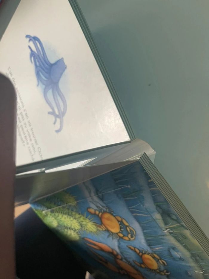 Livre puzzle arc en ciel a disparu - photo numéro 8