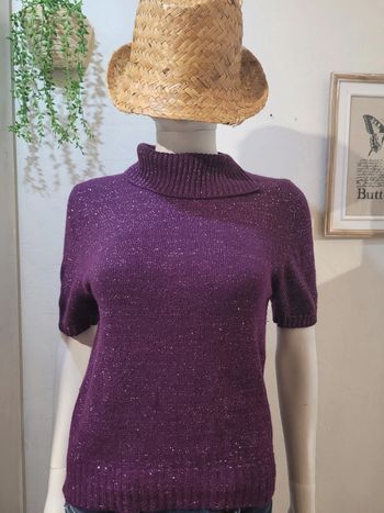 Pull manches courtes avec angora