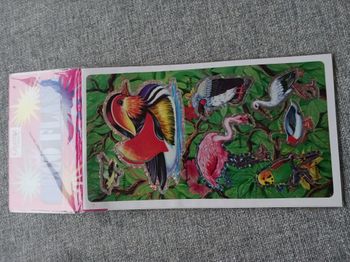 Deco flash animaux Casino lot de 3