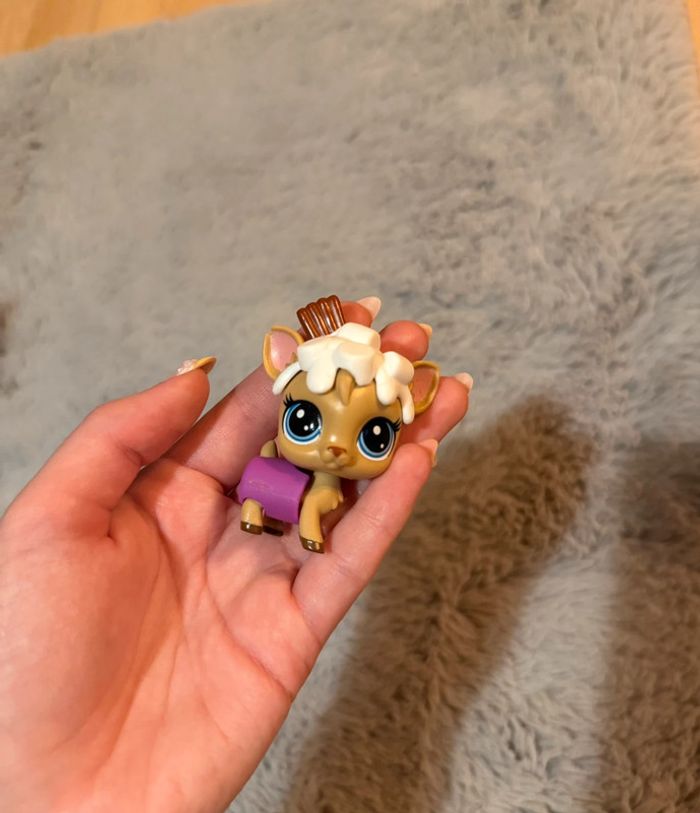 Petshop et accessoire - photo numéro 6