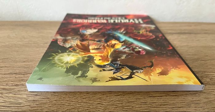 Carnet Hyrule Warriors: L’Ère du Fléau - photo numéro 8