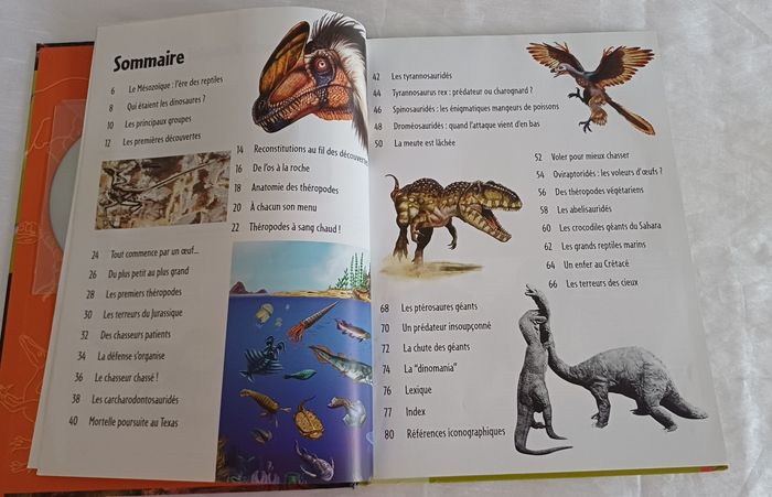 Livre Voir les animaux Fleurus - photo numéro 4