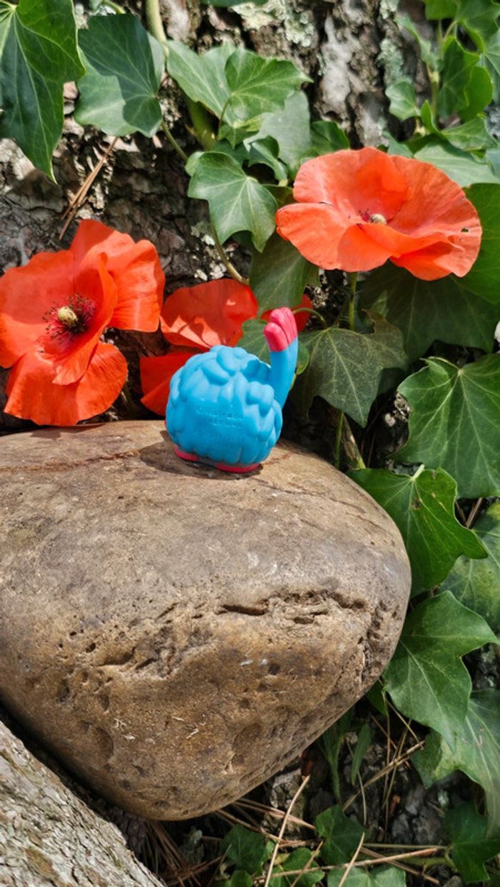 Super figurine Pokemon Nintendo finger puppet bouldeneu - photo numéro 4