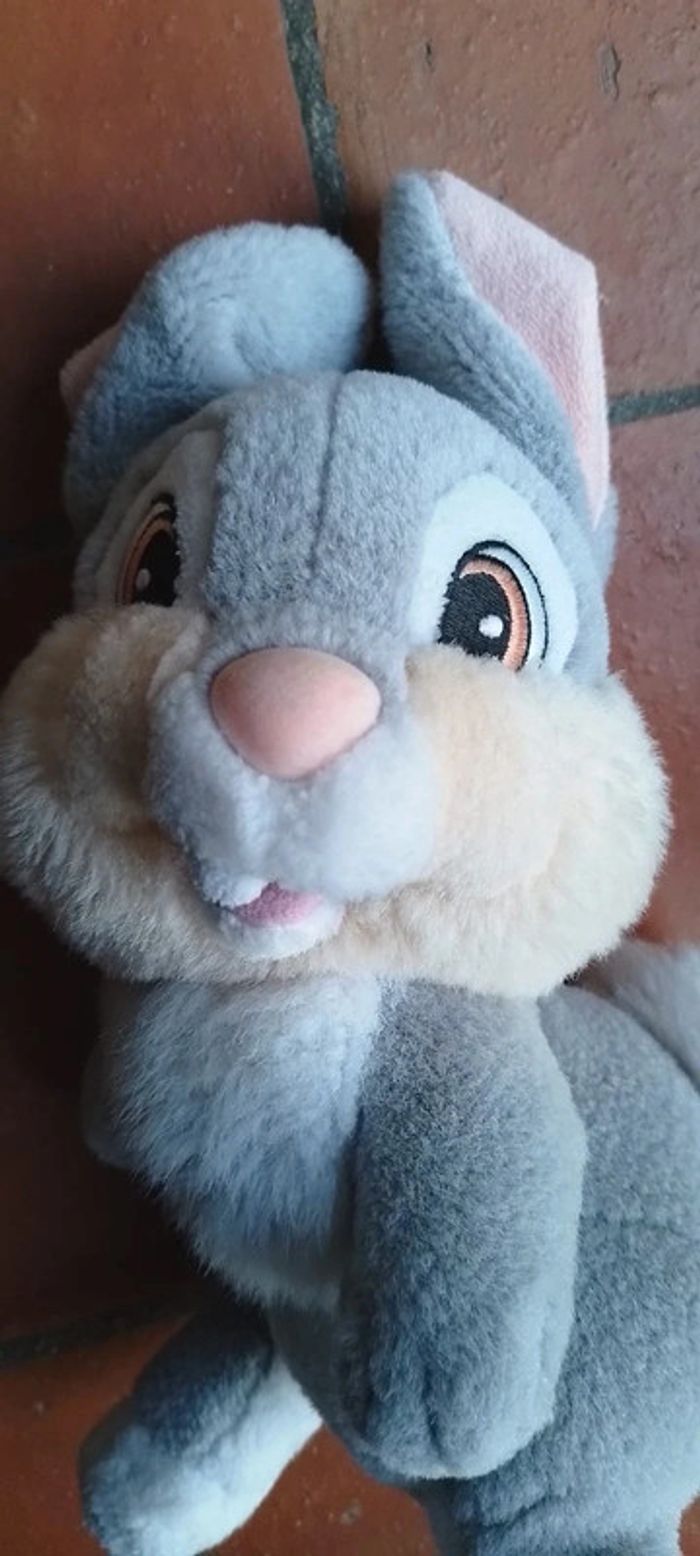 Lapin Pampan Bambi - photo numéro 2