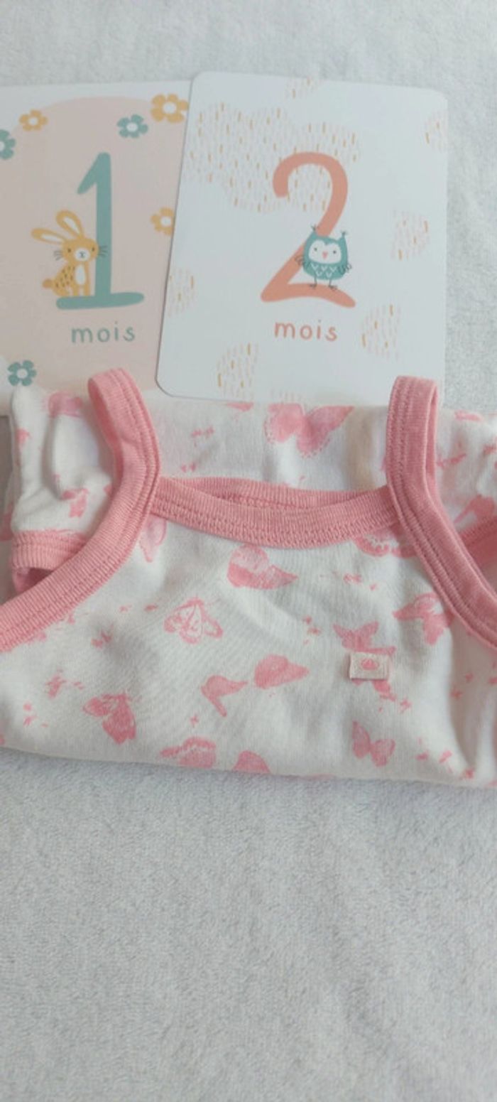 Bodies fille manche courte 12 mois - photo numéro 5