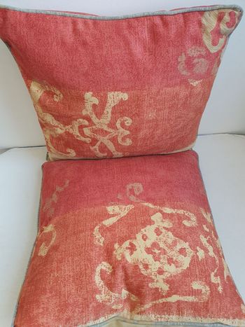 2 coussins décoratifs