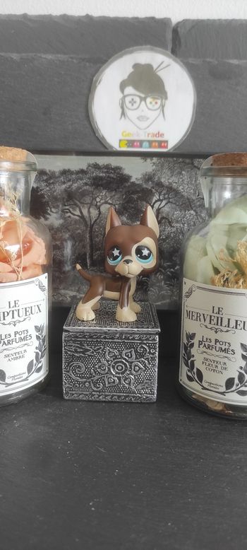 Littlest Petshop Pet Shop LPS Authentic  Authentique dog Great Dane 817 Danois