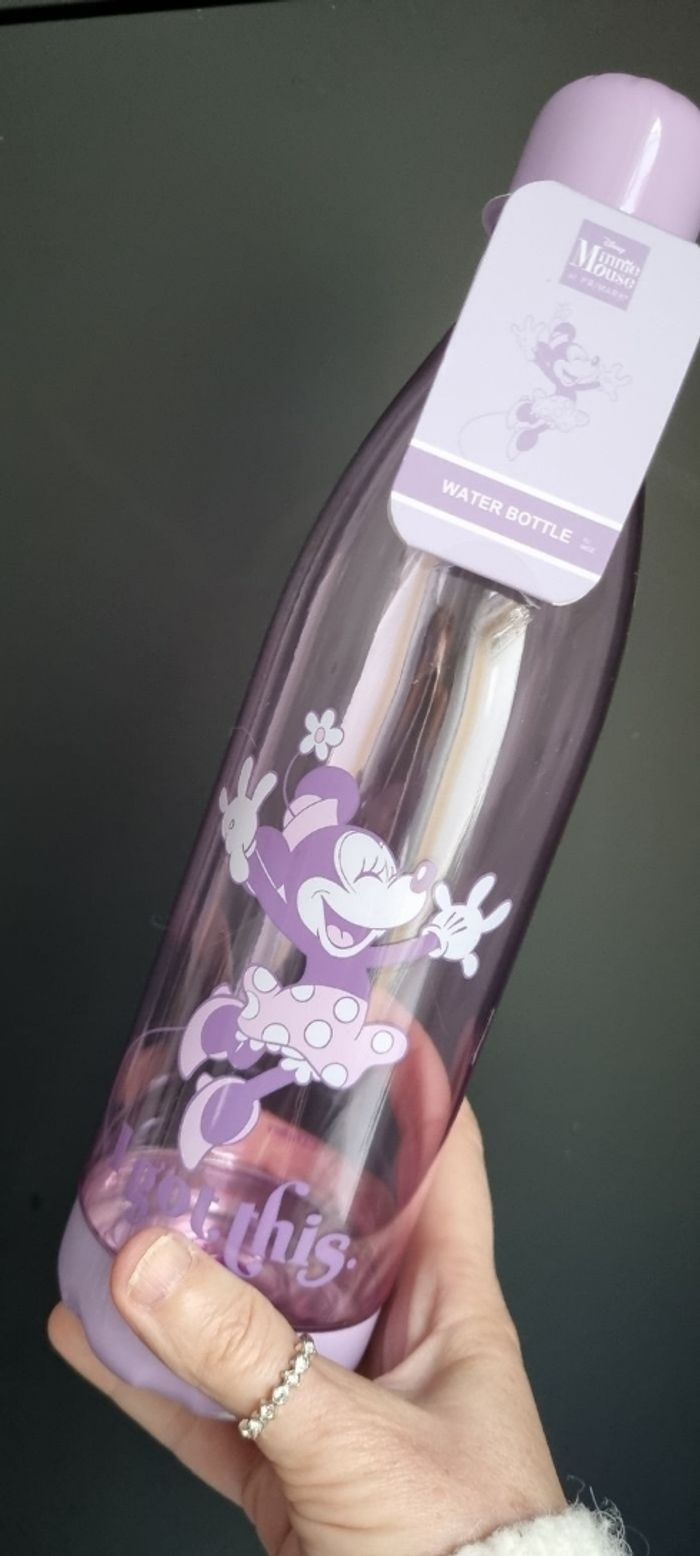 Bouteille gourde neuve Disney Minnie Mickey