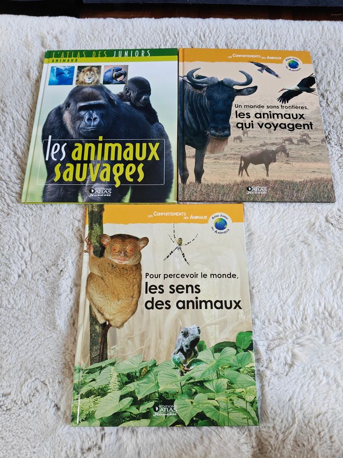 Livres - photo numéro 6