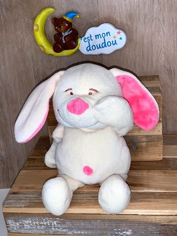 AJE27 doudou chien 🐶 ajena