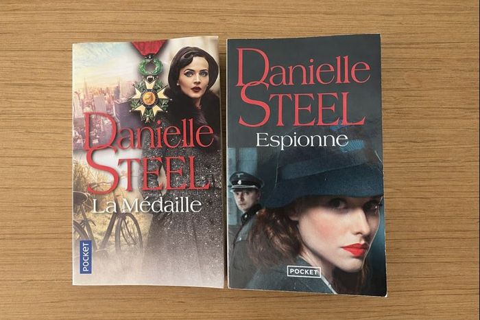 Lot 2 livres Danielle Steel