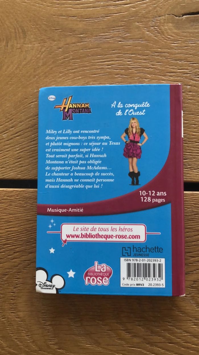 Lot 2 livres hannah montana - photo numéro 2