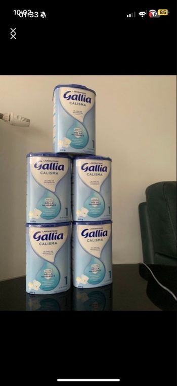 Gallia Calisma 1 er âge 