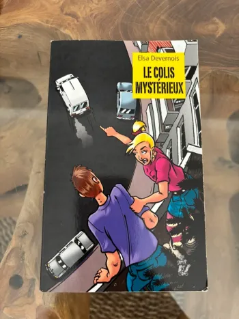 Livre Lire c'est partir le colis mystérieux