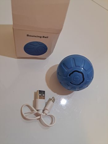 Balle vibrante Chien 🐕