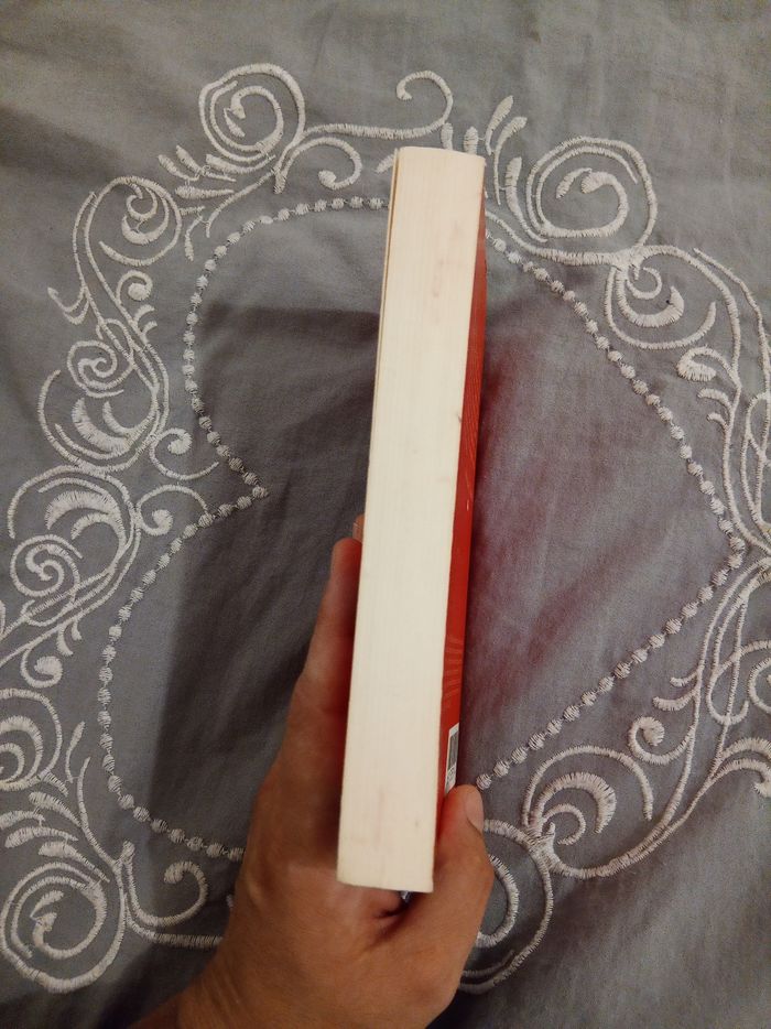 Livre (39) 📚 Je voudrais que quelqu'un m'attende quelque part - photo numéro 4