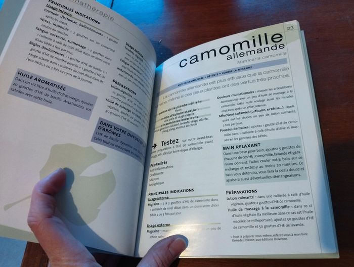 Guide sur les huiles essentielles - photo numéro 3