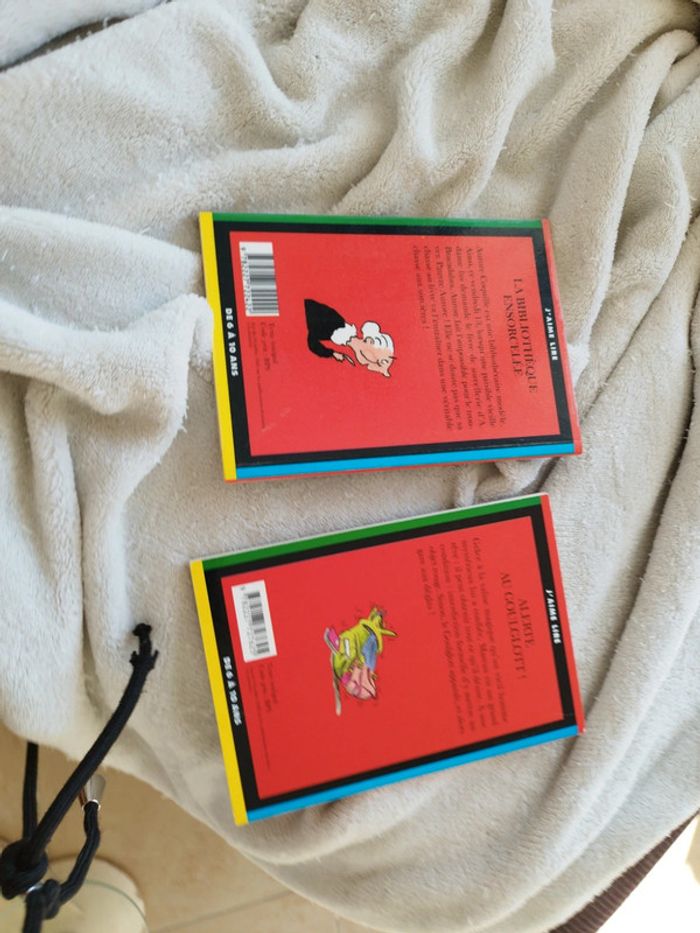 Lot de deux livres j'aime lire la bibliothèque ensorcelée et alerte au goulglott - photo numéro 2