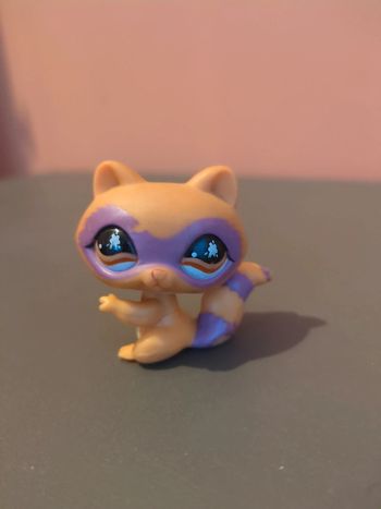 littlest Petshop raton laveur
