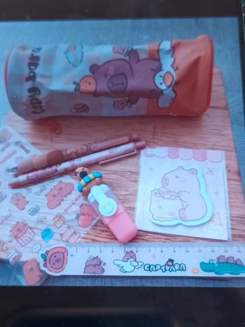 Trousse Capybara et ses accessoires