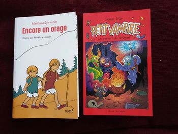 Lot de 2 livres Petit vampire le pouvoir du dragon et Encore un orage