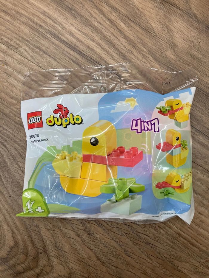 Lego 30673