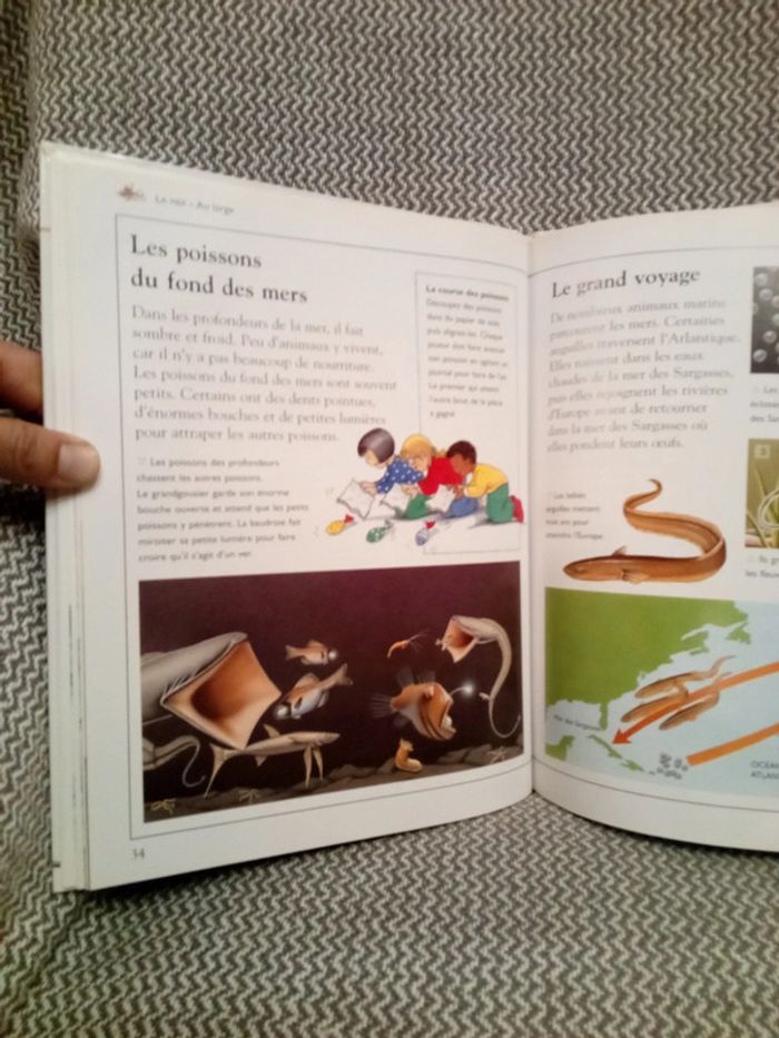 La Mer - Ma première encyclopédie - Ed. Nathan (pour France Loisirs) - photo numéro 10