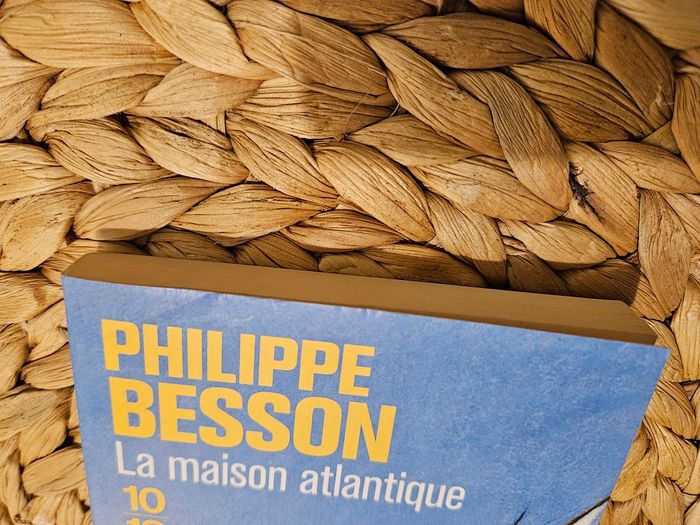 Livre de Philippe Besson La maison atlantique - photo numéro 6