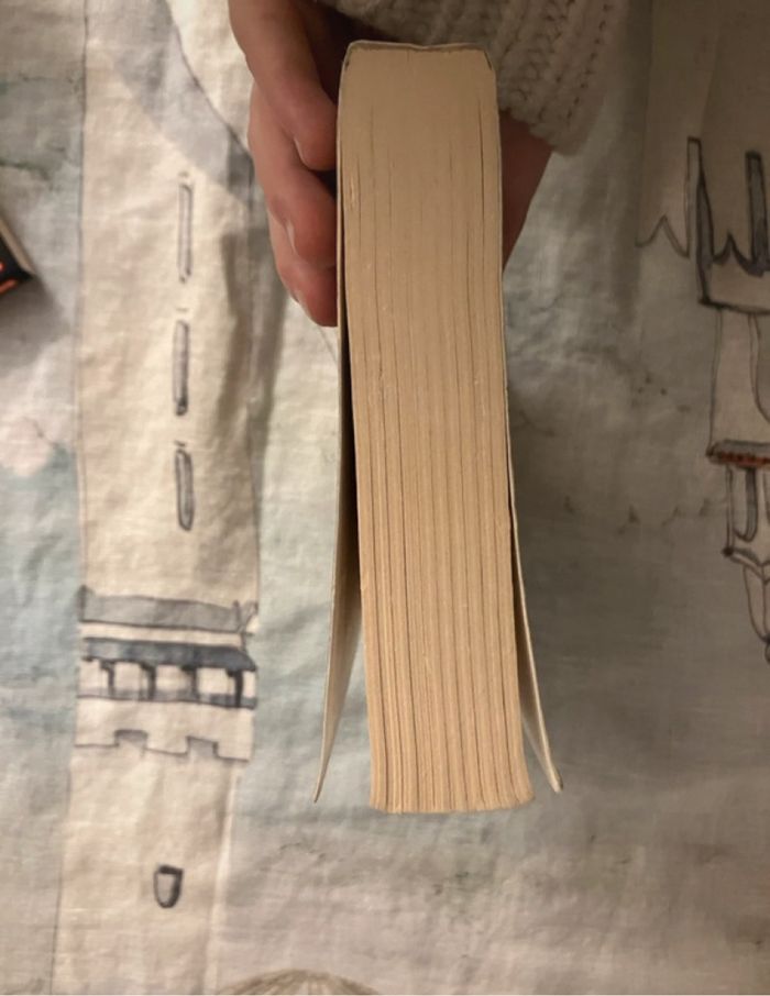 L’oracle du temple de la jungle Minecraft - photo numéro 5