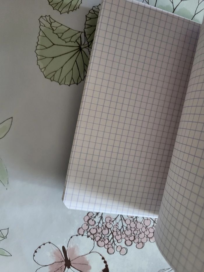 Lot de 3 petits carnets - photo numéro 13