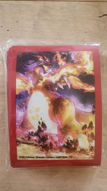 Protèges cartes Pokémon 