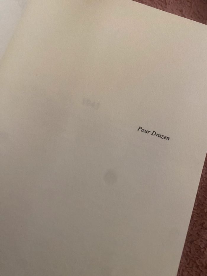 Journal d’Hannah – Louise L. Lambrichs 1993 - photo numéro 14