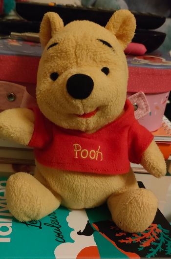 Winnie l ourson 