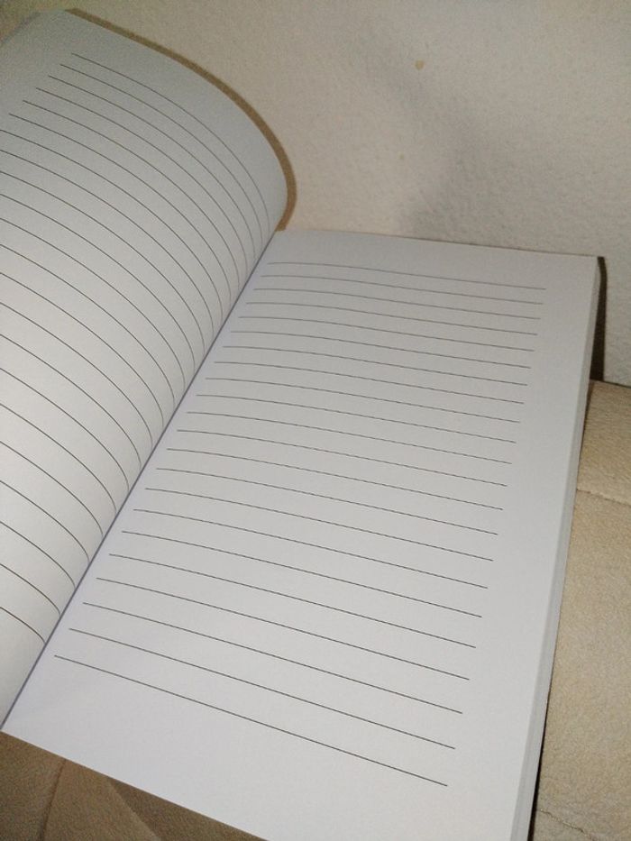 Carnet d'écriture/carnet de notes - photo numéro 3