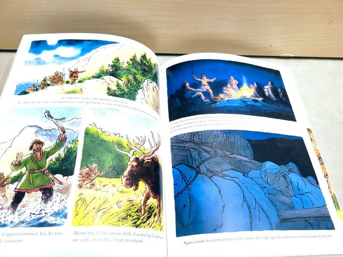 🌺 Livre (école des loisirs) : L'herbe verte du Groenland - photo numéro 4