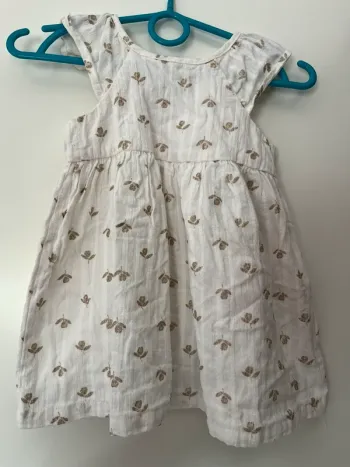 Robe DPAM