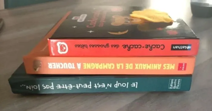 Lot de livres a toucher - photo numéro 2