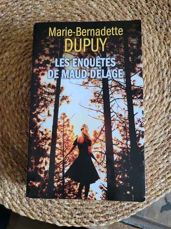 Les enquêtes  de Maud Delage.