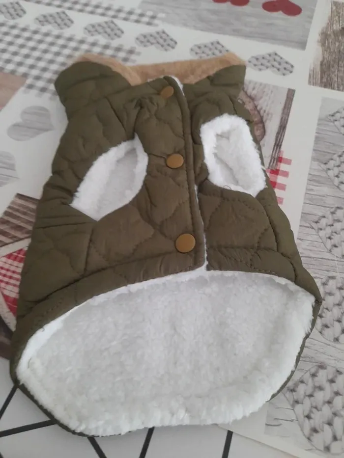 manteau chien - photo numéro 3