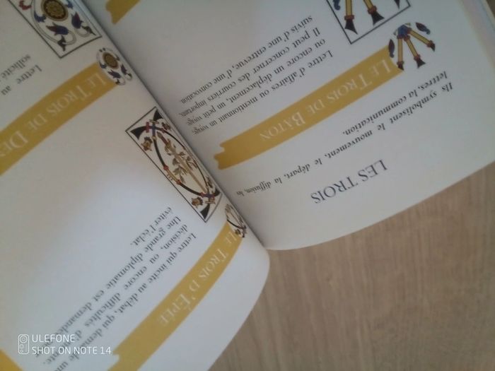 Le tarot en action L. Pelegry - photo numéro 5