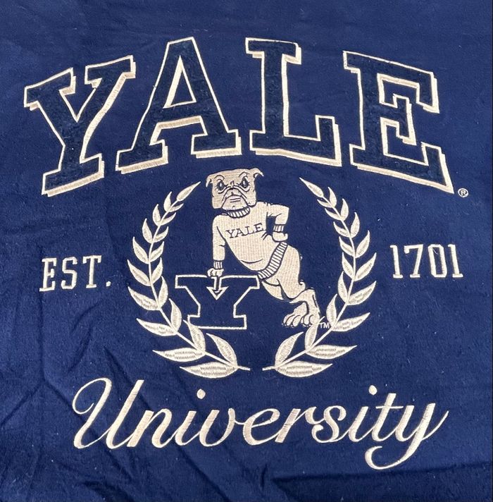 Bomber university USA Yale bleu/blanc taille L – très bon état - photo numéro 3