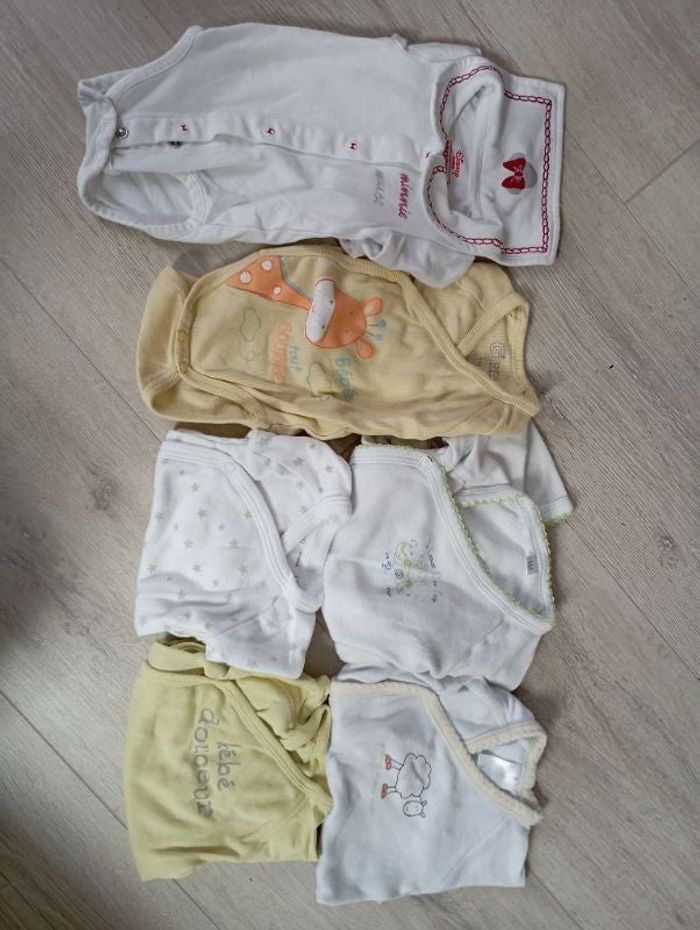 Lot 6 bodys