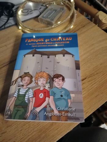 LIVRE PANIQUE AU CHATEAU DE CHRISTIANE ANGIBOUS ESNAULT