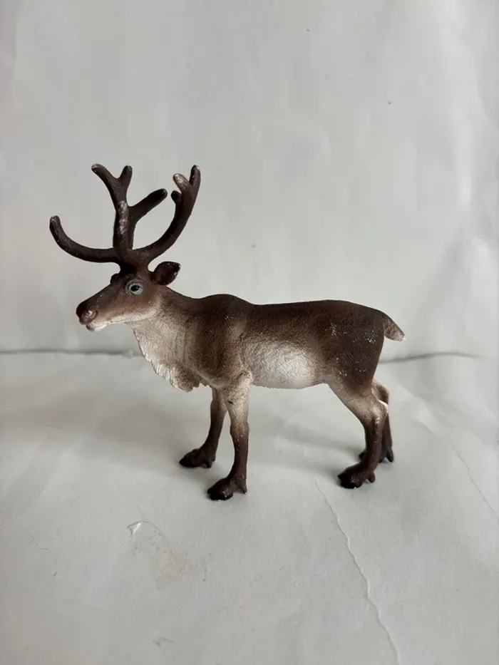 Renne Schleich