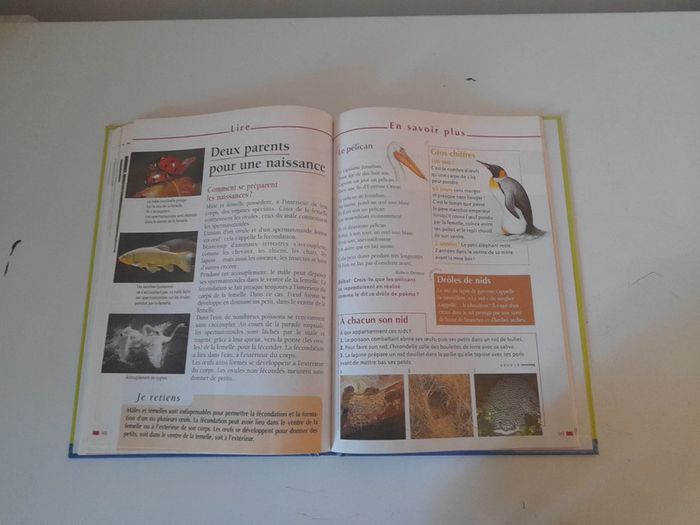 Multi livre CE2 - photo numéro 9
